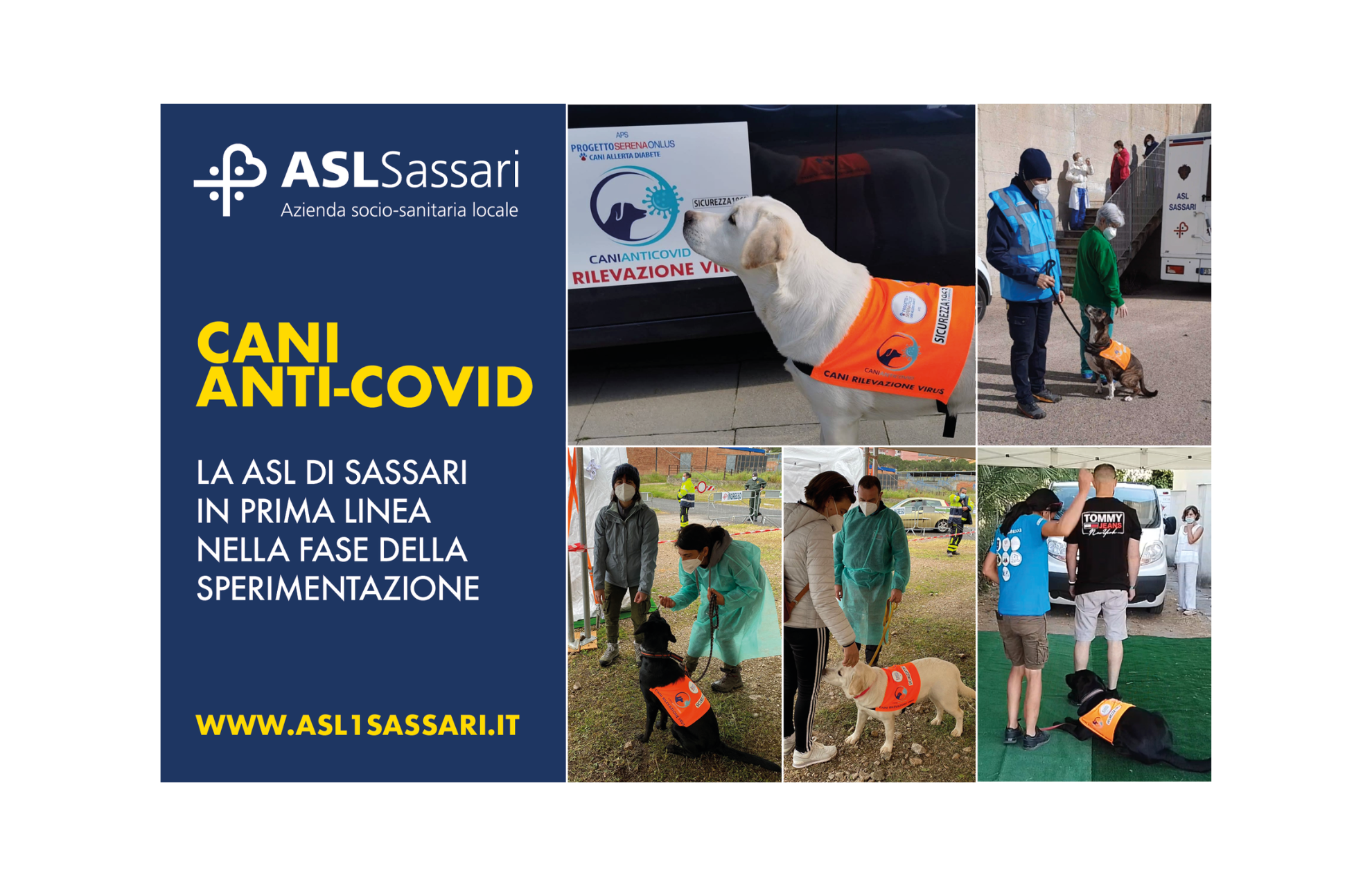 Cani da Screening: anche la Asl di Sassari nello studio scientifico